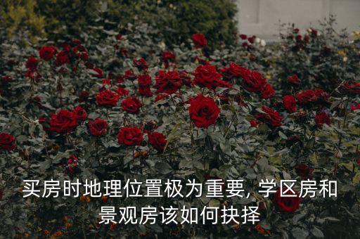 买房时地理位置极为重要, 学区房和景观房该如何抉择