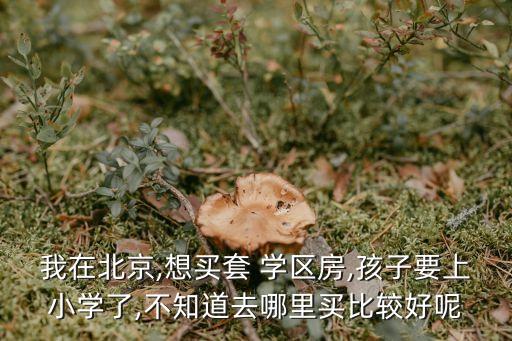 想买一个学区房怎么选学校