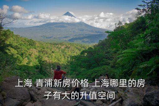 上海青浦新区学区房有哪些
