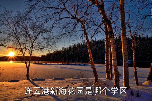 连云港新海花园是哪个学区