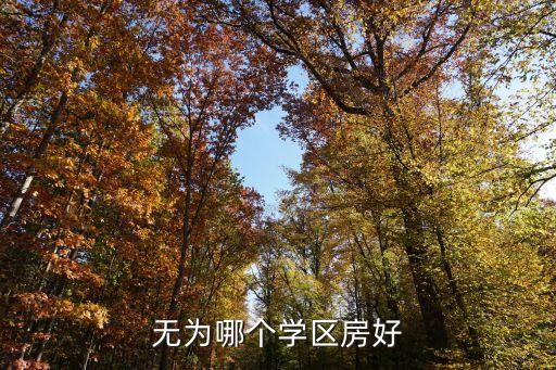 无为哪个学区房好