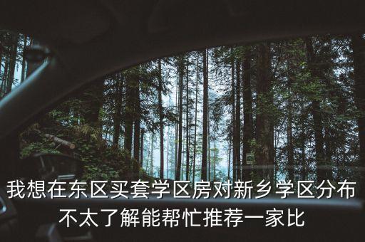 我想在东区买套学区房对新乡学区分布不太了解能帮忙推荐一家比
