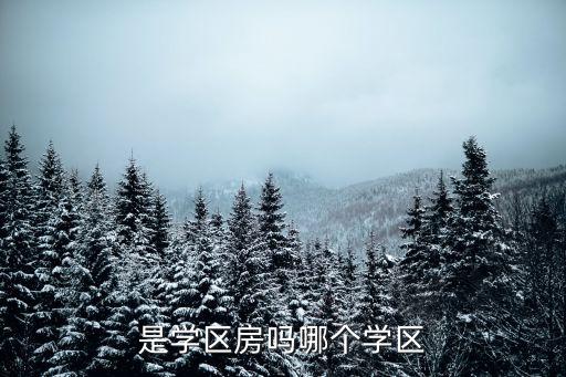 是学区房吗哪个学区