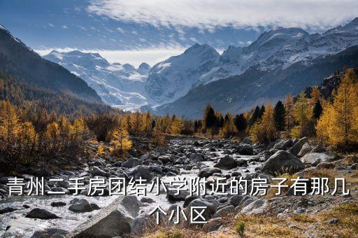 青州二手房团结小学附近的房子有那几个小区