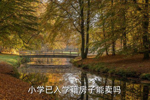 小学已入学籍房子能卖吗