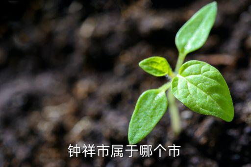 天门有哪些学区房,天门实验小学学区房