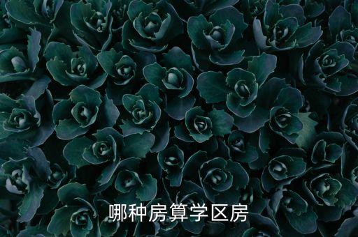 哪种房算学区房