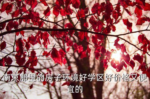 南京那里的房子环境好学区好价格又便宜的