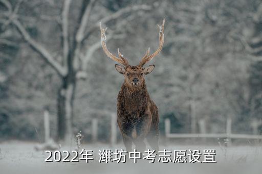 2022年 潍坊中考志愿设置