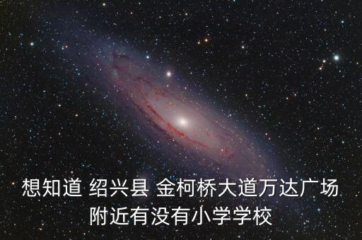 想知道 绍兴县 金柯桥大道万达广场附近有没有小学学校
