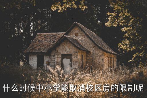 什么时候中小学能取消校区房的限制呢