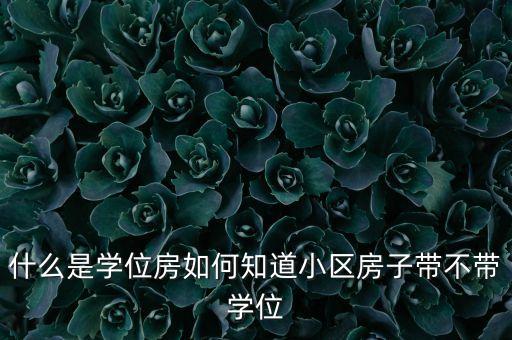 什么是学位房如何知道小区房子带不带学位