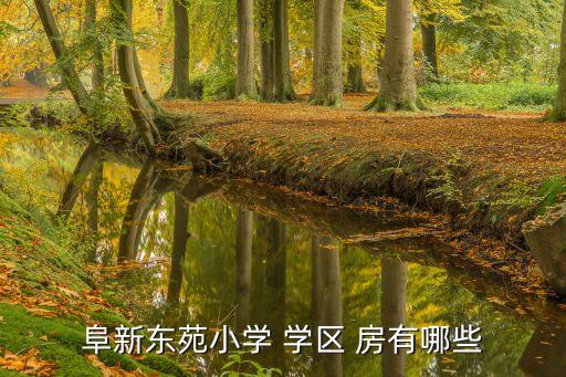阜新东苑小学 学区 房有哪些