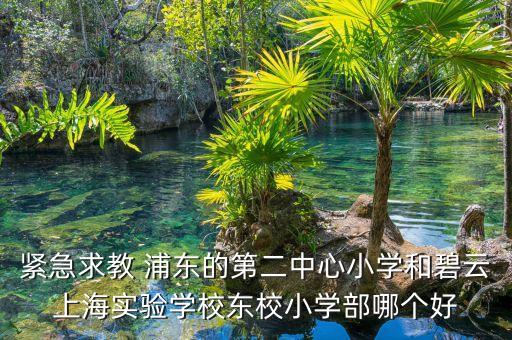 紧急求教 浦东的第二中心小学和碧云上海实验学校东校小学部哪个好