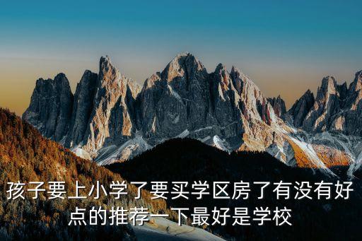孩子要上小学了要买学区房了有没有好点的推荐一下最好是学校