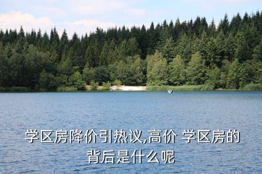 新世纪学区房一般多少钱,大连鹏辉新世纪是学区房吗