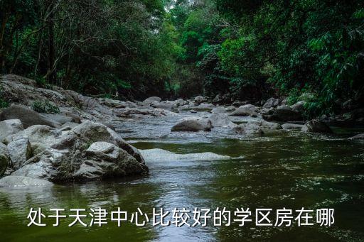 处于天津中心比较好的学区房在哪