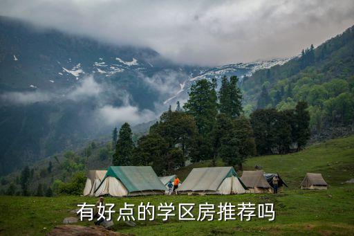 有好点的学区房推荐吗