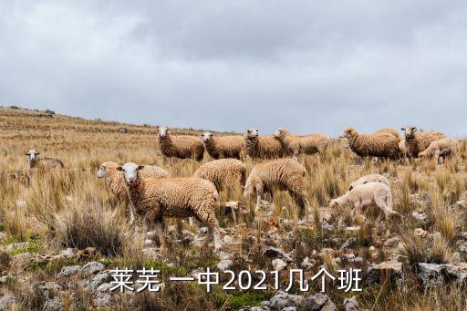  莱芜 一中2021几个班