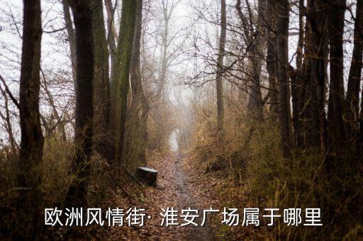  欧洲风情街· 淮安广场属于哪里