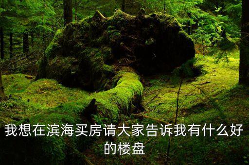 我想在滨海买房请大家告诉我有什么好的楼盘
