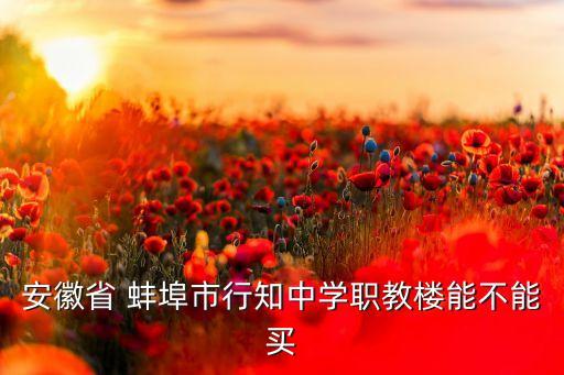 安徽省 蚌埠市行知中学职教楼能不能买
