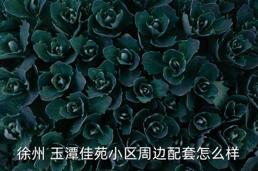 徐州 玉潭佳苑小区周边配套怎么样