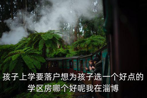 孩子上学要落户想为孩子选一个好点的学区房哪个好呢我在淄博
