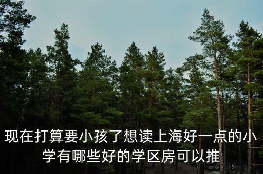 现在打算要小孩了想读上海好一点的小学有哪些好的学区房可以推
