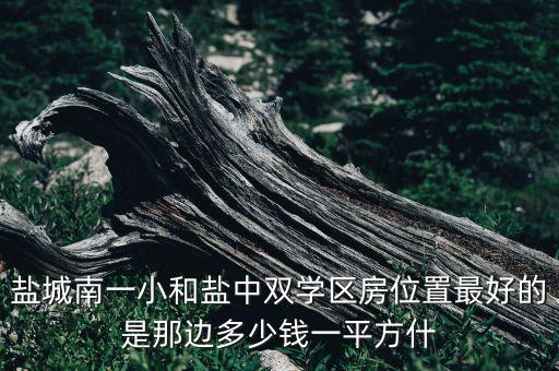 盐城南一小和盐中双学区房位置最好的是那边多少钱一平方什