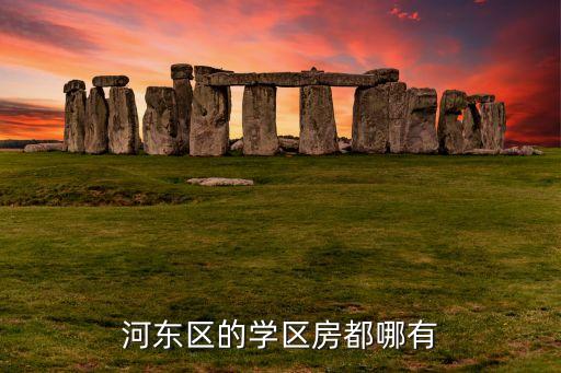 天津哪个学区房，河东区的学区房都哪有