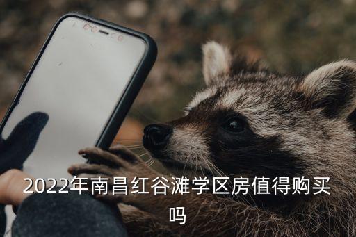 2022年南昌红谷滩学区房值得购买吗