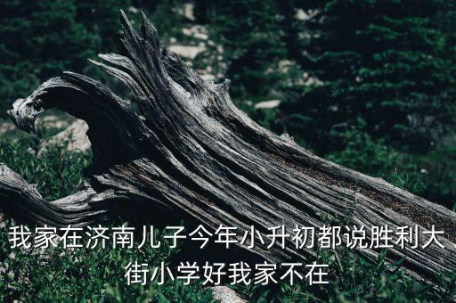 我家在济南儿子今年小升初都说胜利大街小学好我家不在