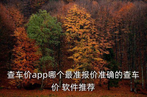查车价app哪个最准报价准确的查车价 软件推荐