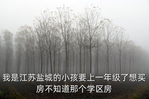 我是江苏盐城的小孩要上一年级了想买房不知道那个学区房