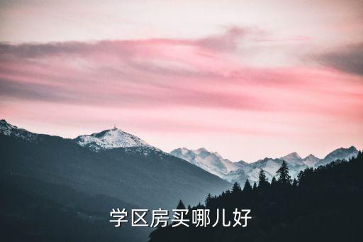 学区房买哪儿好
