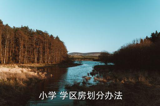  小学 学区房划分办法