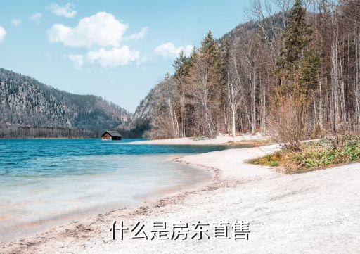 中原地产上海二手房网