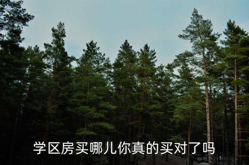 学区房买哪儿你真的买对了吗