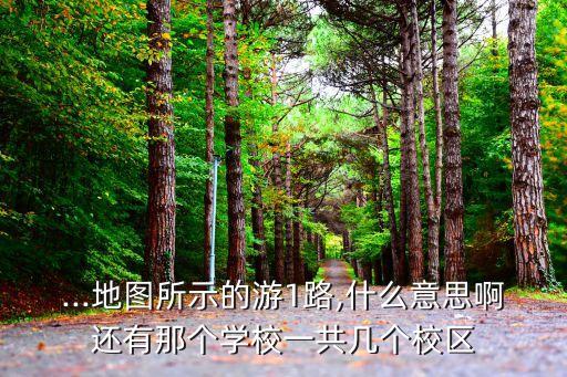 天房檀珑湾属于哪个学区的