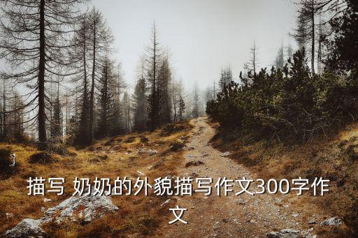 描写 奶奶的外貌描写作文300字作文