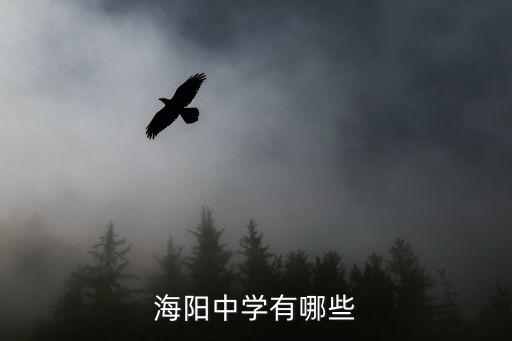 海阳新元学校有哪些学区房