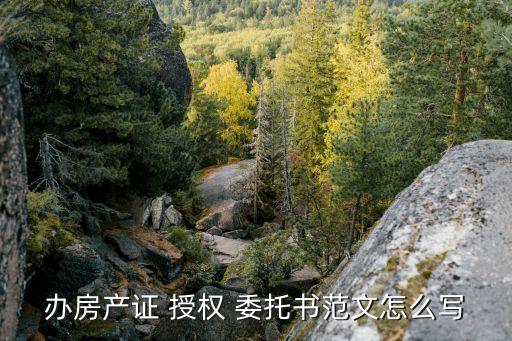 房屋授权委托书模板 文本,房屋管理权授权委托书模板