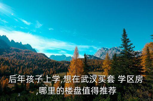 后年孩子上学,想在武汉买套 学区房,哪里的楼盘值得推荐