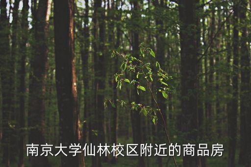 南京大学学区房哪个好卖，请问南京哪边的双学区房性价比更好拉小和芳草园哪个更好啊  搜