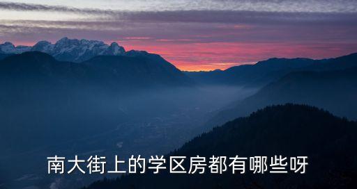 南大街上的学区房都有哪些呀