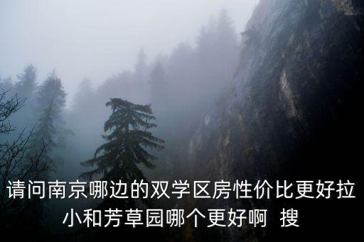 请问南京哪边的双学区房性价比更好拉小和芳草园哪个更好啊  搜