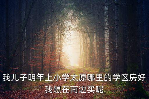 太原哪个区学区房好一些，想在太原买一套房子总价70万左右学区房最好哪里比较好呢