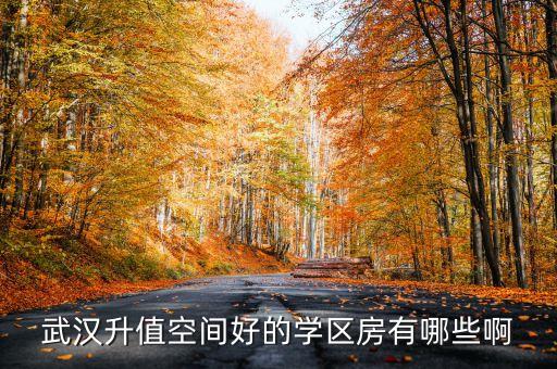武汉升值空间好的学区房有哪些啊
