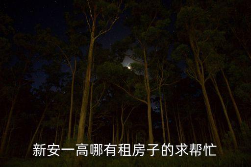 新安一高哪有租房子的求帮忙